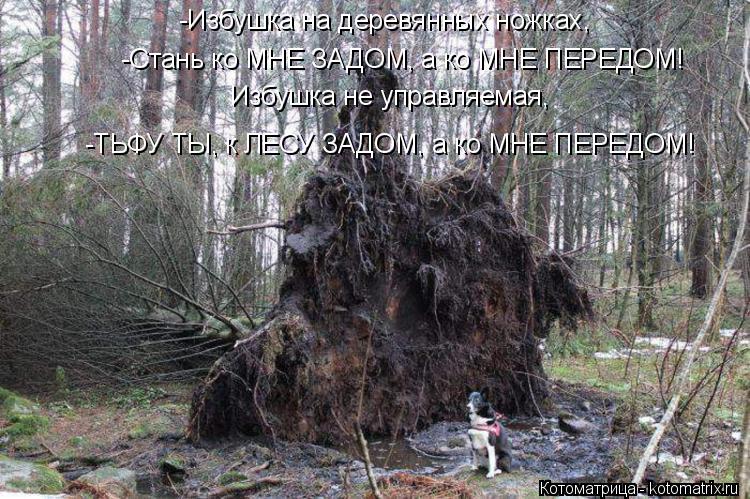 Котоматрица: -Избушка на деревянных ножках, -Стань ко МНЕ ЗАДОМ, а ко МНЕ ПЕРЕДОМ! Избушка не управляемая, -ТЬФУ ТЫ, к ЛЕСУ ЗАДОМ, а ко МНЕ ПЕРЕДОМ!