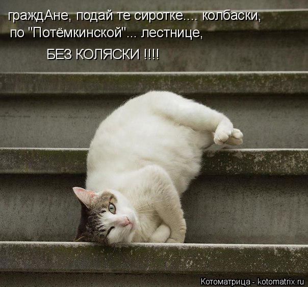 Котоматрица: граждАне, подай те сиротке.... колбаски, по "Потёмкинской"... лестнице, БЕЗ КОЛЯСКИ !!!!
