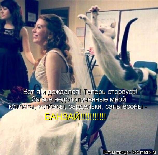 Котоматрица: Вот я и дождался! Теперь оторвусь! За все недополученные мной котлеты, колбасы, сардельки, сальтесоны -  БАНЗАЙ!!!!!!!!!!!