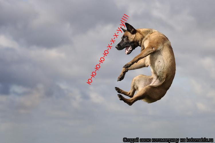 Котоматрица: ю-ю-ю-ю-ю-х-х-х-у-у!!!!