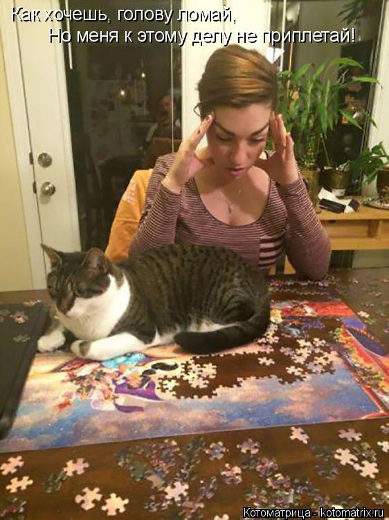 Котоматрица: Как хочешь, голову ломай, Но меня к этому делу не приплетай!