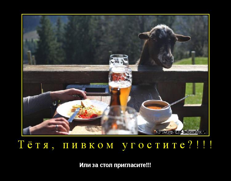 Котоматрица: Тётя, пивком угостите?!!! Или за стол пригласите!!!
