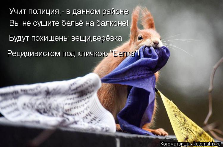Учит полиция,- в данном районе Вы не сушите бельё на балконе! Будут похищены вещи,верёвка Рецидивисто... Котоматрица: Учит полиция,- в данном районе Вы не сушите бельё на балконе! Будут похищены вещи,верёвка Рецидивистом под кличкою "Белка"!