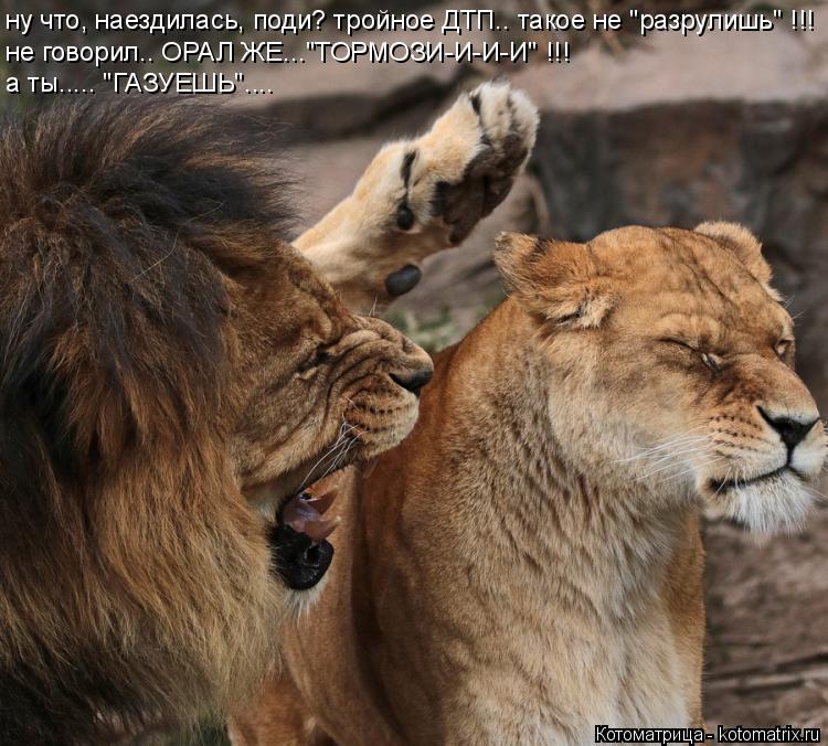 Котоматрица: ну что, наездилась, поди? тройное ДТП.. такое не "разрулишь" !!! не говорил.. ОРАЛ ЖЕ..."ТОРМОЗИ-И-И-И" !!! а ты..... "ГАЗУЕШЬ"....