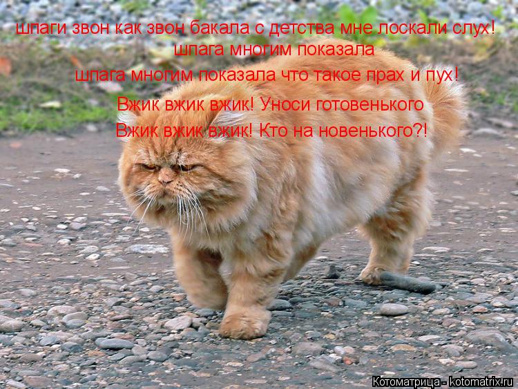 Котоматрица: шпаги звон как звон бакала с детства мне лоскали слух!   шпага многим показала шпага многим показала что такое прах и пух! Вжик вжик вжик! Уно