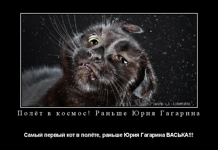 Котоматрица: Полёт в космос! Раньше Юрия Гагарина Самый первый кот в полёте, раньше Юрия Гагарина ВАСЬКА!!!
