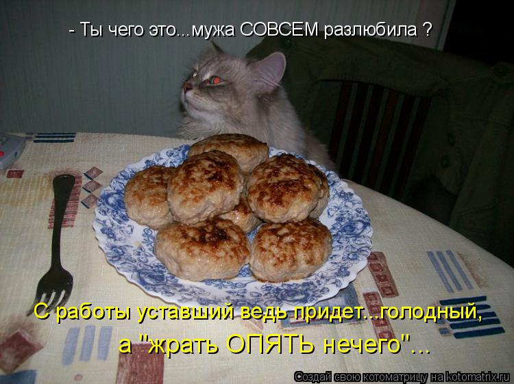 Котоматрица: - Ты чего это...мужа СОВСЕМ разлюбила ? а "жрать ОПЯТЬ нечего"... С работы уставший ведь придет...голодный,