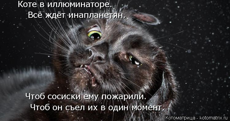 Котоматрица: Коте в иллюминаторе.  Всё ждёт инапланетян. Чтоб сосиски ему пожарили. Чтоб он съел их в один момент.