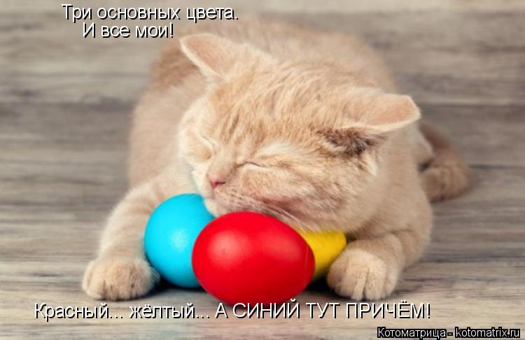Котоматрица: Три основных цвета. И все мои! Красный... жёлтый... А СИНИЙ ТУТ ПРИЧЁМ!