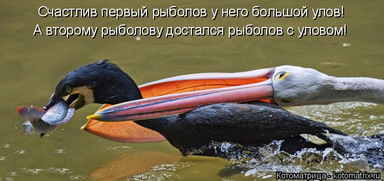 Котоматрица: Счастлив первый рыболов у него большой улов! А второму рыболову достался рыболов с уловом!