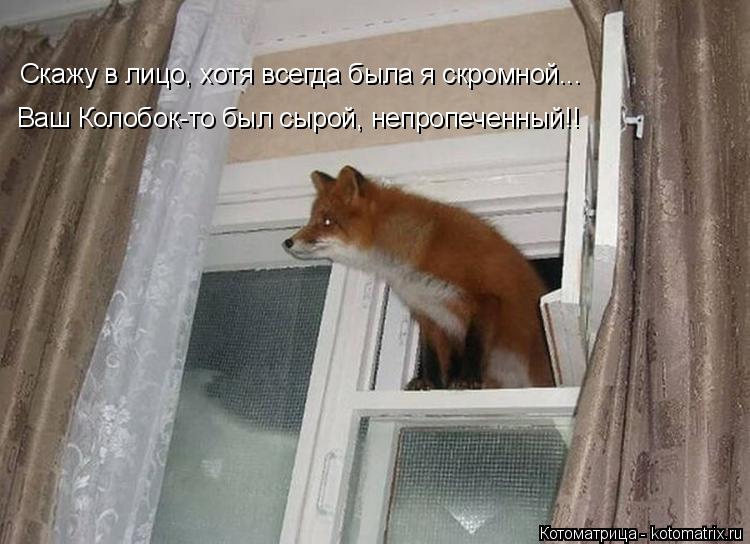 Котоматрица: Скажу в лицо, хотя всегда была я скромной... Ваш Колобок-то был сырой, непропеченный!!