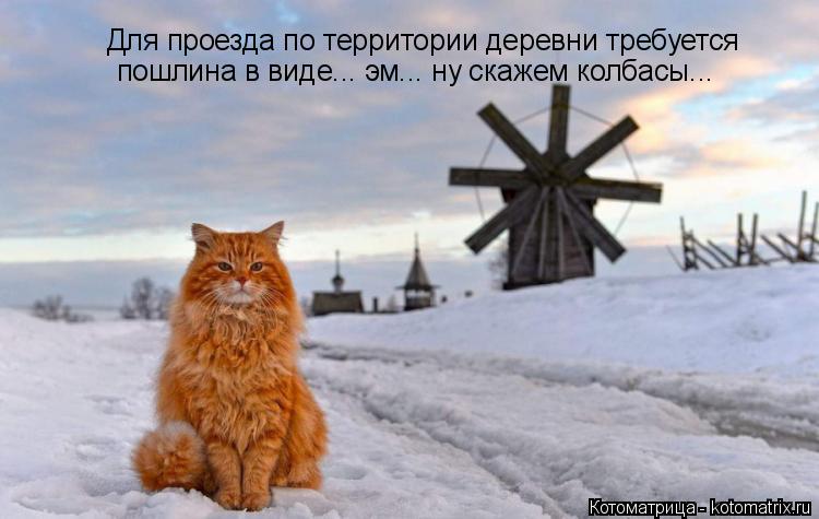 Котоматрица: Для проезда по территории деревни требуется  пошлина в виде... эм... ну скажем колбасы...