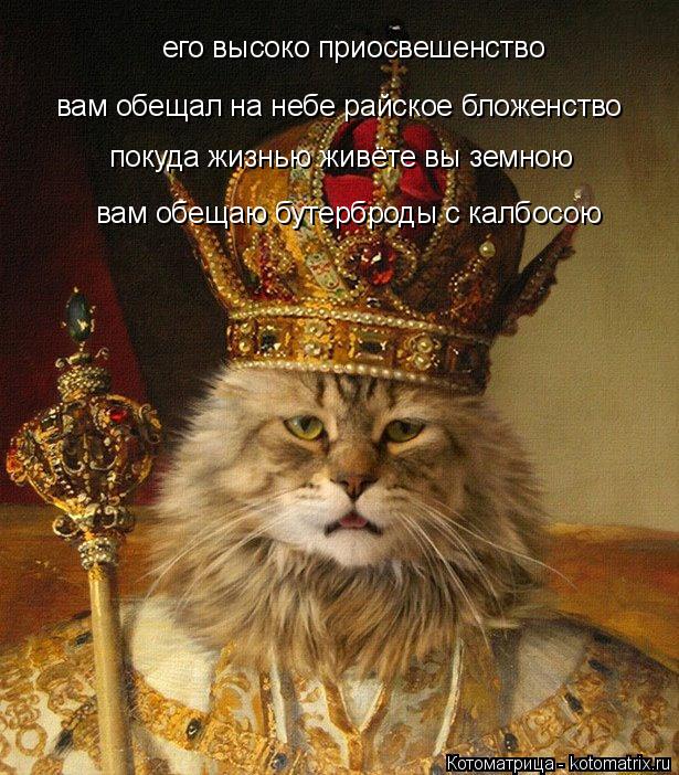 Котоматрица: его высоко приосвешенство вам обещал на небе райское бложенство покуда жизнью живёте вы земною вам обещаю бутерброды с калбосою