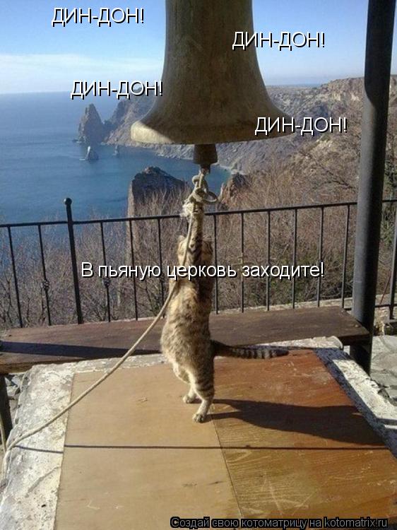 Котоматрица: ДИН-ДОН! ДИН-ДОН! ДИН-ДОН! ДИН-ДОН! В пьяную церковь заходите!