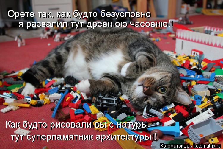 Котоматрица: Орете так, как будто безусловно я развалил тут древнюю часовню!! Как будто рисовали вы с натуры тут суперпамятник архитектуры!!