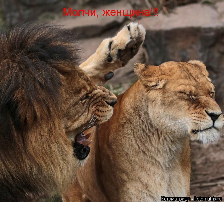 Котоматрица: Молчи, женщина!!!