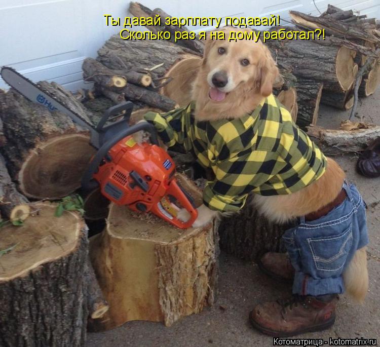 Котоматрица: Ты давай зарплату подавай! Сколько раз я на дому работал?!