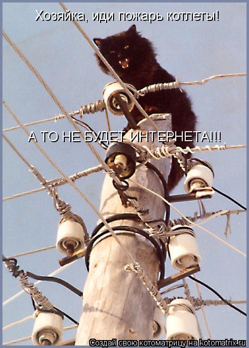 Котоматрица: Хозяйка, иди пожарь котлеты! А ТО НЕ БУДЕТ ИНТЕРНЕТА!!!