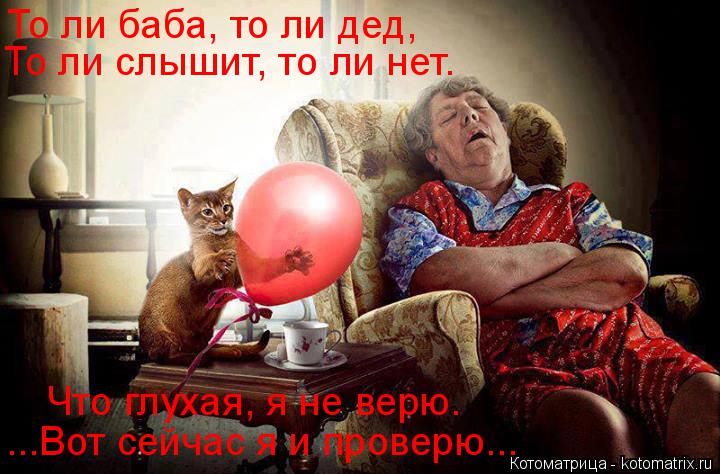 Котоматрица: То ли баба, то ли дед, То ли слышит, то ли нет. ...Вот сейчас я и проверю... Что глухая, я не верю.