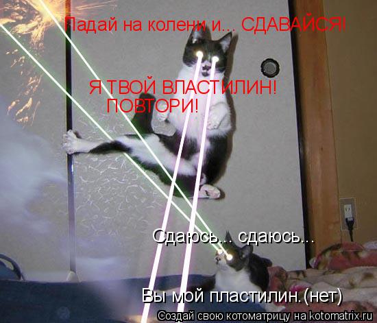 Котоматрица: Падай на колени и... СДАВАЙСЯ! Я ТВОЙ ВЛАСТИЛИН! ПОВТОРИ! Сдаюсь... сдаюсь... Вы мой пластилин.(нет)
