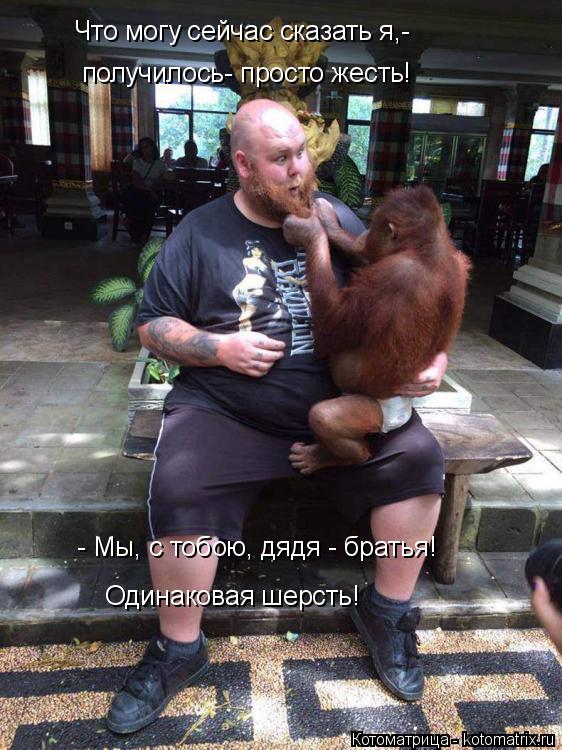 Котоматрица: Что могу сейчас сказать я,- получилось- просто жесть! - Мы, с тобою, дядя - братья!  Одинаковая шерсть!