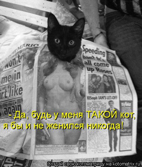 - Да, будь у меня ТАКОЙ кот, я бы и не женился никогда!... Котоматрица: - Да, будь у меня ТАКОЙ кот, я бы и не женился никогда!
