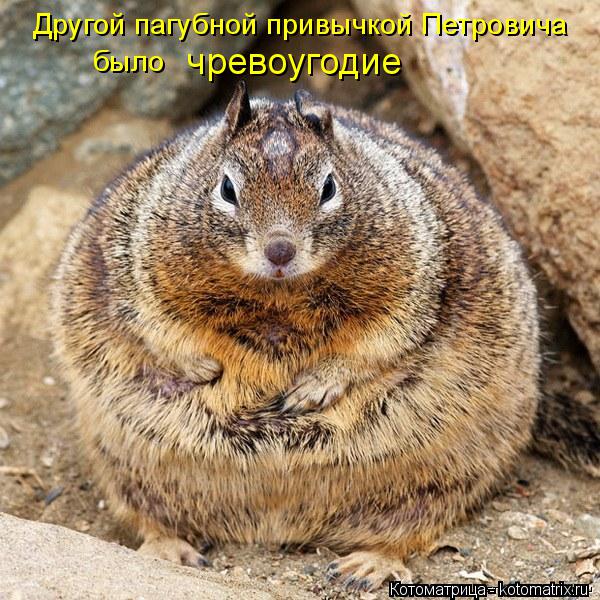 Котоматрица: Другой пагубной привычкой Петровича было  чревоугодие