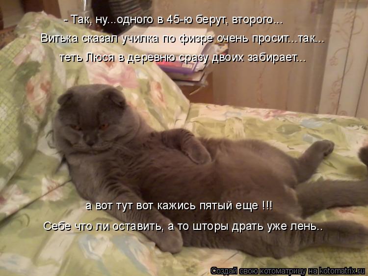 Котоматрица: Витька сказал училка по физре очень просит...так... - Так, ну...одного в 45-ю берут, второго... теть Люся в деревню сразу двоих забирает... а вот тут 
