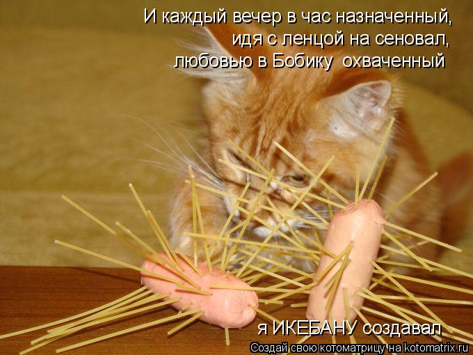 Котоматрица: И каждый вечер в час назначенный, идя с ленцой на сеновал, любовью в Бобику  охваченный я ИКЕБАНУ создавал