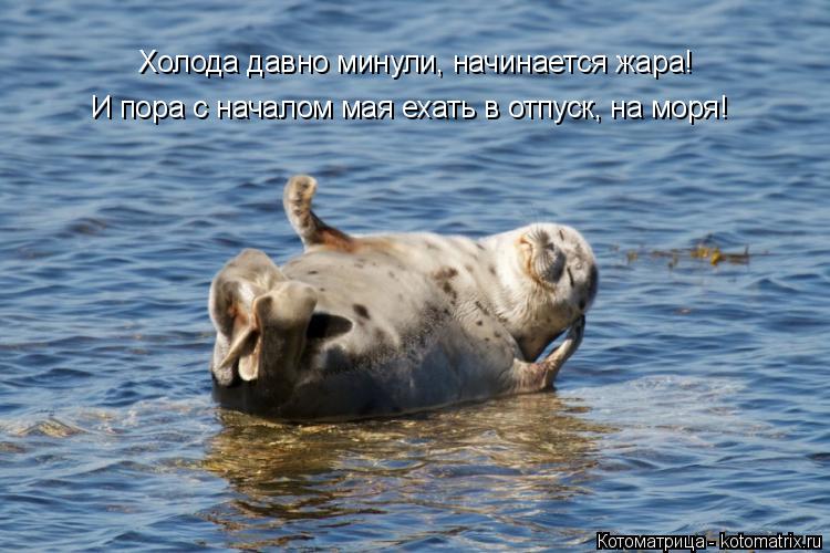Котоматрица: Холода давно минули, начинается жара! И пора с началом мая ехать в отпуск, на моря!