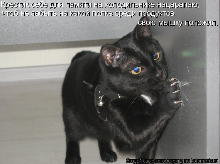 Крестик себе для памяти на холодильнике нацарапаю, чтоб не забыть на какой полке среди продуктов св... Котоматрица: Крестик себе для памяти на холодильнике нацарапаю, чтоб не забыть на какой полке среди продуктов свою мышку положил.