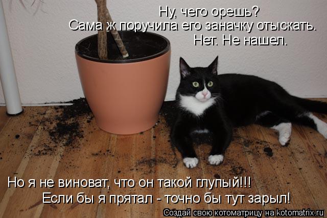 Ну, чего орешь? Сама ж поручила его заначку отыскать. Нет. Не нашел. Но я не виноват, что он такой г... Котоматрица: Ну, чего орешь? Сама ж поручила его заначку отыскать. Нет. Не нашел. Но я не виноват, что он такой глупый!!! Если бы я прятал - точно бы тут зарыл