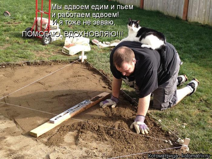 Котоматрица: Мы вдвоем едим и пьем и работаем вдвоем! И я тоже не зеваю,  ПОМОГАЮ, ВДОХНОВЛЯЮ!!!