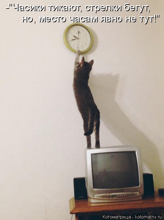 -"Часики тикают, стрелки бегут, но, место часам явно не тут!"... Котоматрица: -"Часики тикают, стрелки бегут, но, место часам явно не тут!"