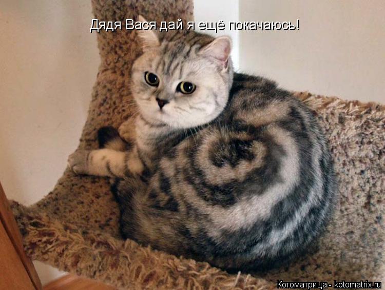 Дядя Вася дай я ещё покачаюсь!... Котоматрица: Дядя Вася дай я ещё покачаюсь!