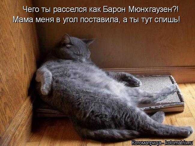 Котоматрица: Чего ты расселся как Барон Мюнхгаузен?! Мама меня в угол поставила, а ты тут спишь!