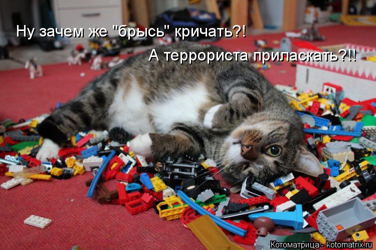 Котоматрица: Ну зачем же "брысь" кричать?! А террориста приласкать?!!