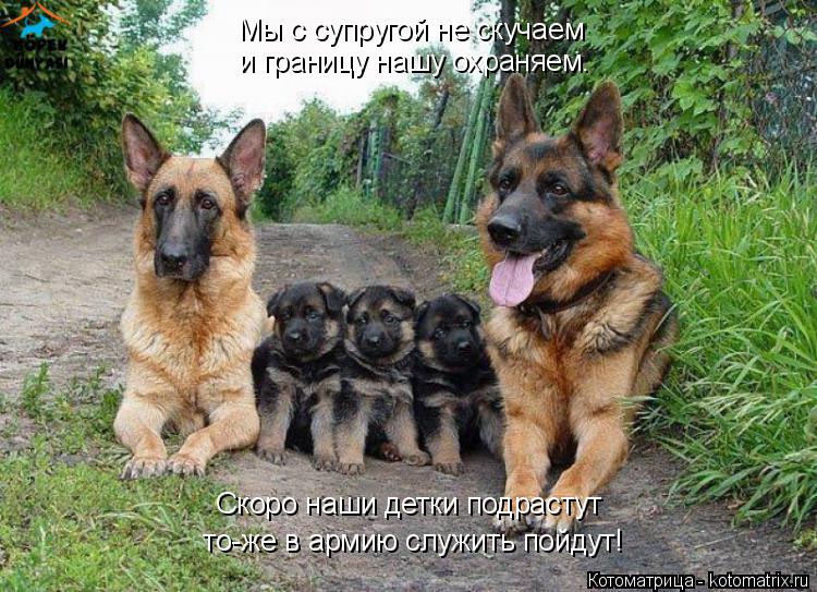 Котоматрица: Мы с супругой не скучаем  и границу нашу охраняем.  то-же в армию служить пойдут! Скоро наши детки подрастут