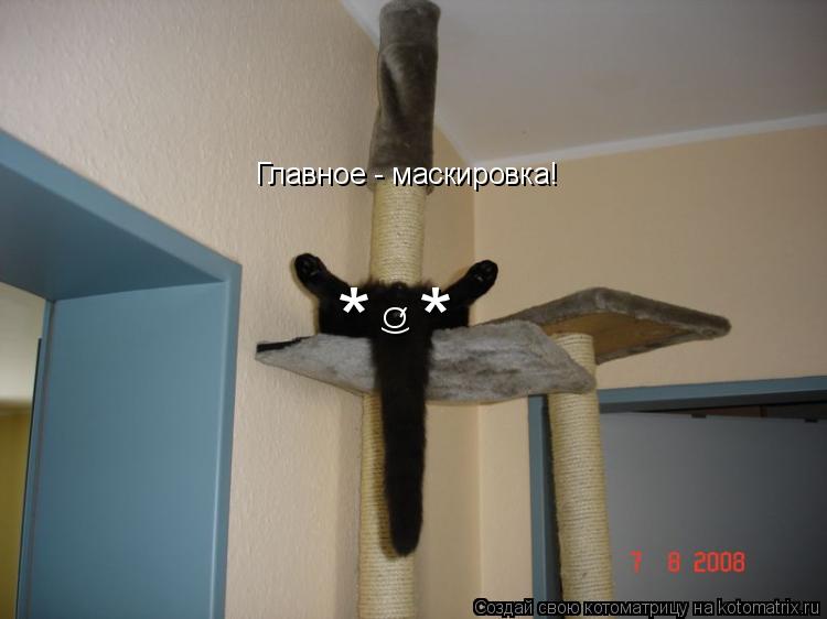 * * ( Q Главное - маскировка!... Котоматрица: * * ( Q Главное - маскировка!