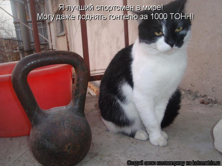 Я лучший спортсмен в мире! Могу даже поднять гонтелю за 1000 ТОНН!... Котоматрица: Я лучший спортсмен в мире! Могу даже поднять гонтелю за 1000 ТОНН!