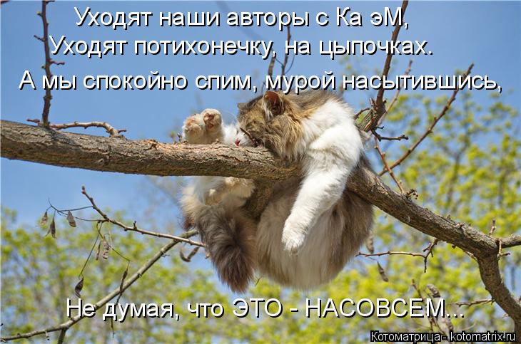 Уходят наши авторы с Ка эМ, Уходят потихонечку, на цыпочках. А мы спокойно спим, мурой насытившись, Н... Котоматрица: Уходят наши авторы с Ка эМ, Уходят потихонечку, на цыпочках. А мы спокойно спим, мурой насытившись, Не думая, что ЭТО - НАСОВСЕМ...