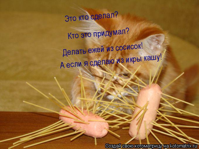 Это кто сделал? Кто это придумал? Делать ежей из сосисок! А если я сделаю из икры кашу!... Котоматрица: Это кто сделал? Кто это придумал? Делать ежей из сосисок! А если я сделаю из икры кашу!