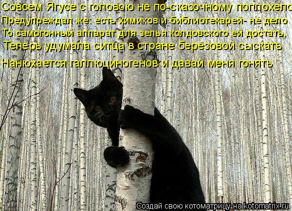 Совсем Ягусе с головою не по-сказочному поплохело Предупреждал же: есть химиков и библиотекарей- не ... Котоматрица: Совсем Ягусе с головою не по-сказочному поплохело Предупреждал же: есть химиков и библиотекарей- не дело Нанюхается галлюциногенов и дава