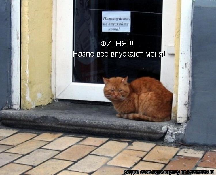 Котоматрица: ФИГНЯ!!! Назло все впускают меня!