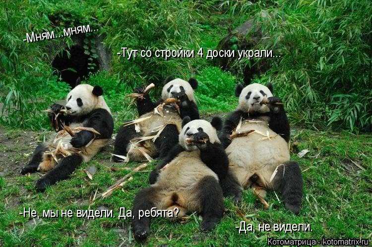 Котоматрица: -Мням...мням... -Тут со стройки 4 доски украли... -Не, мы не видели. Да, ребята? -Да, не видели.