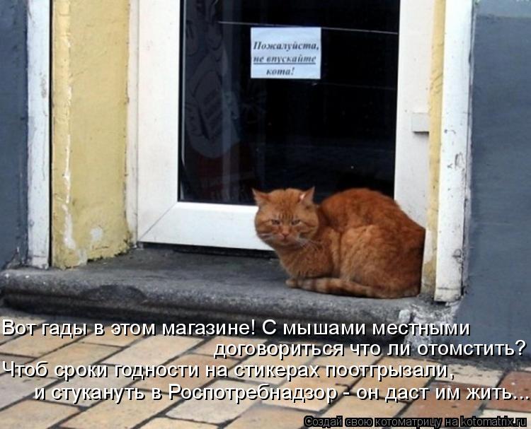 Вот гады в этом магазине! С мышами местными договориться что ли отомстить? Чтоб сроки годности на ст... Котоматрица: Вот гады в этом магазине! С мышами местными договориться что ли отомстить? Чтоб сроки годности на стикерах поотгрызали, и стукануть в Роспо