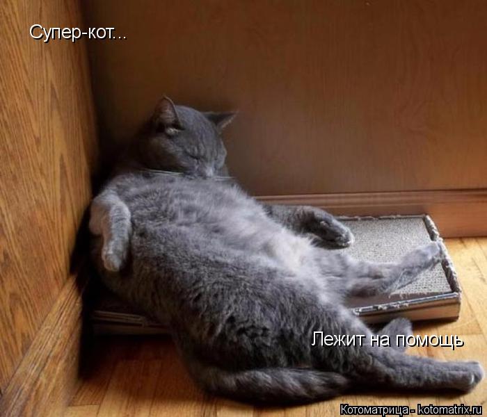Котоматрица: Супер-кот... Лежит на помощь