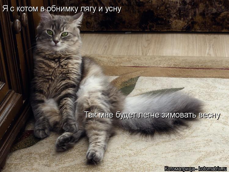 Котоматрица: Я с котом в обнимку лягу и усну Так мне будет легче зимовать весну
