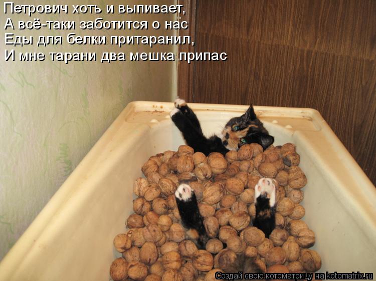 Петрович хоть и выпивает, А всё-таки заботится о нас Еды для белки притаранил, И мне тарани два меш... Котоматрица: Петрович хоть и выпивает, А всё-таки заботится о нас Еды для белки притаранил, И мне тарани два мешка припас
