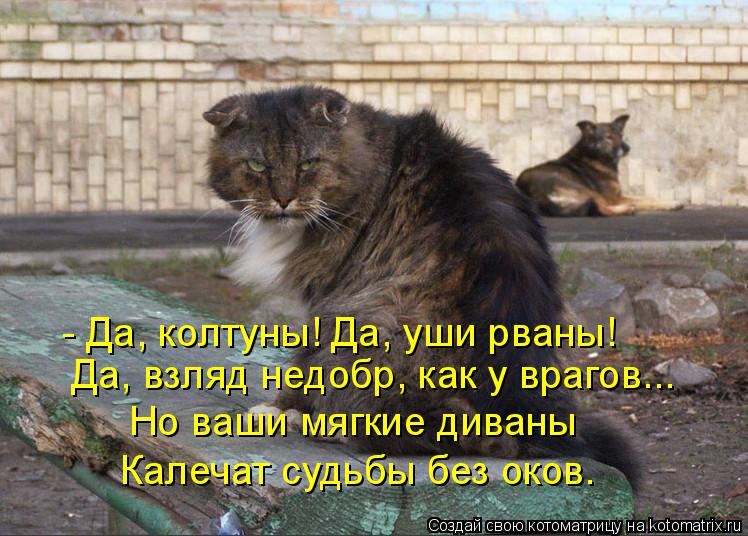 Котоматрица: Да, взляд недобр, как у врагов... Но ваши мягкие диваны Калечат судьбы без оков. - Да, колтуны! Да, уши рваны!